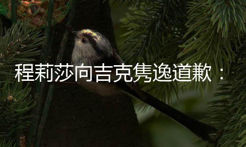 表达不准确让了我误会道歉大家程莉吉克隽逸莎向