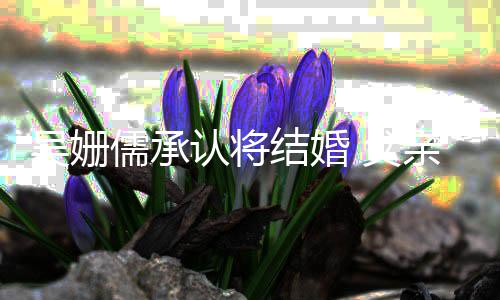 儒承认将亲吴新闻消息吴姗宗宪 父称看才知结婚