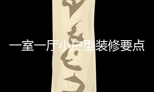 么小户型装修要小户型装修注点 一室一厅意什
